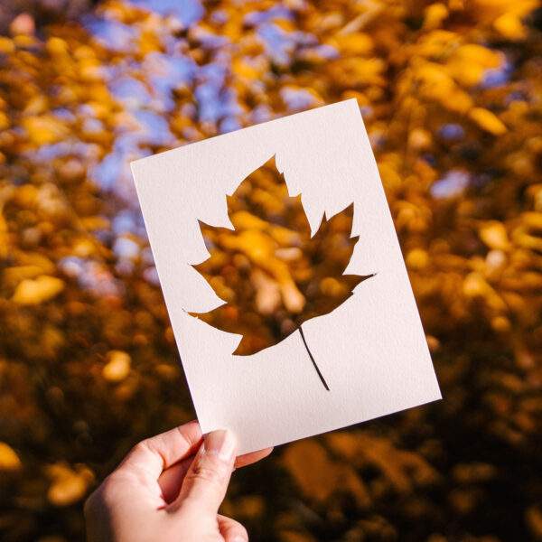 Stencil personalizzati da file - immagine 19